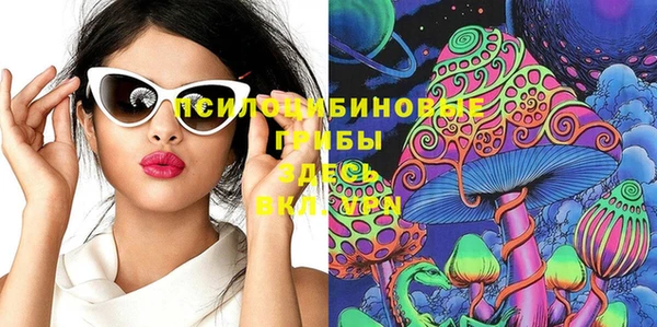 spice Аша