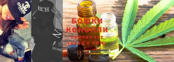трава Иннополис